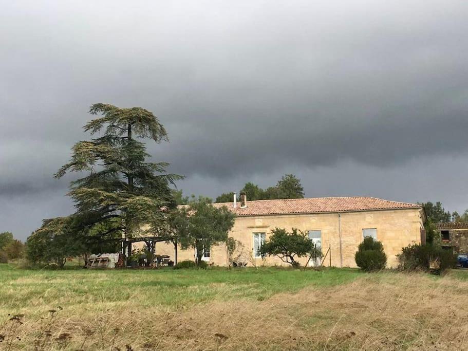 Beau Gite Dans Domaine Viticole & Arboricole Cursan Esterno foto