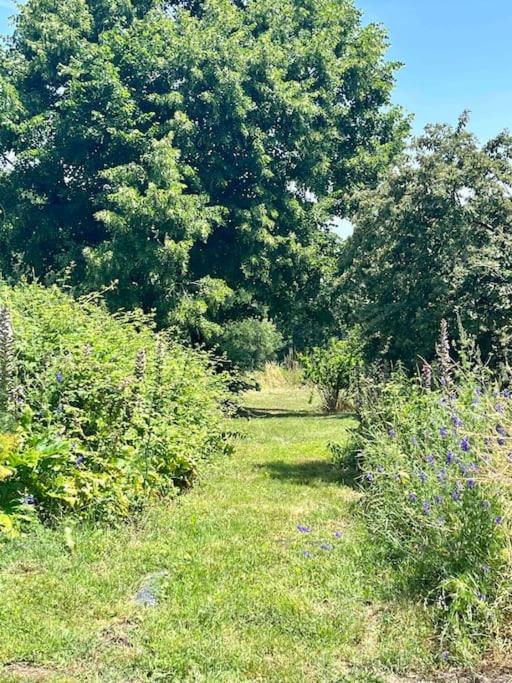 Beau Gite Dans Domaine Viticole & Arboricole Cursan Esterno foto